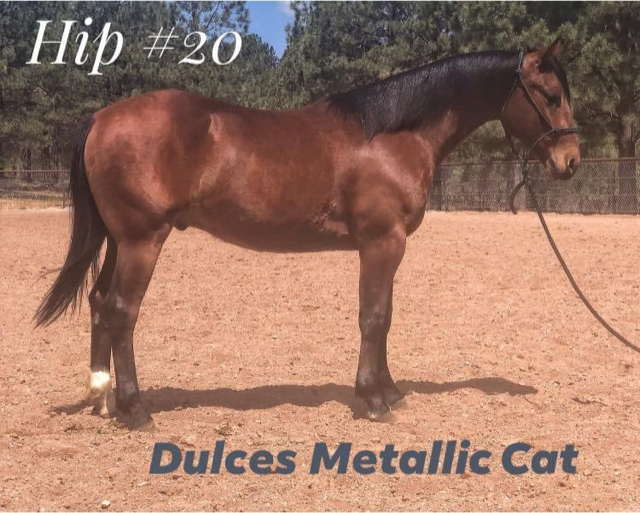 High Plains Ranchers & Breeders Association